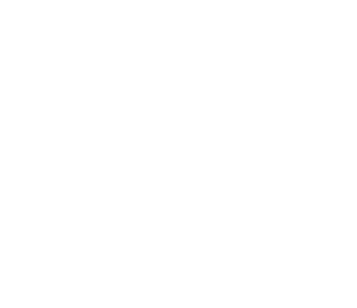 Booth Albanesi Schroeder PLLC